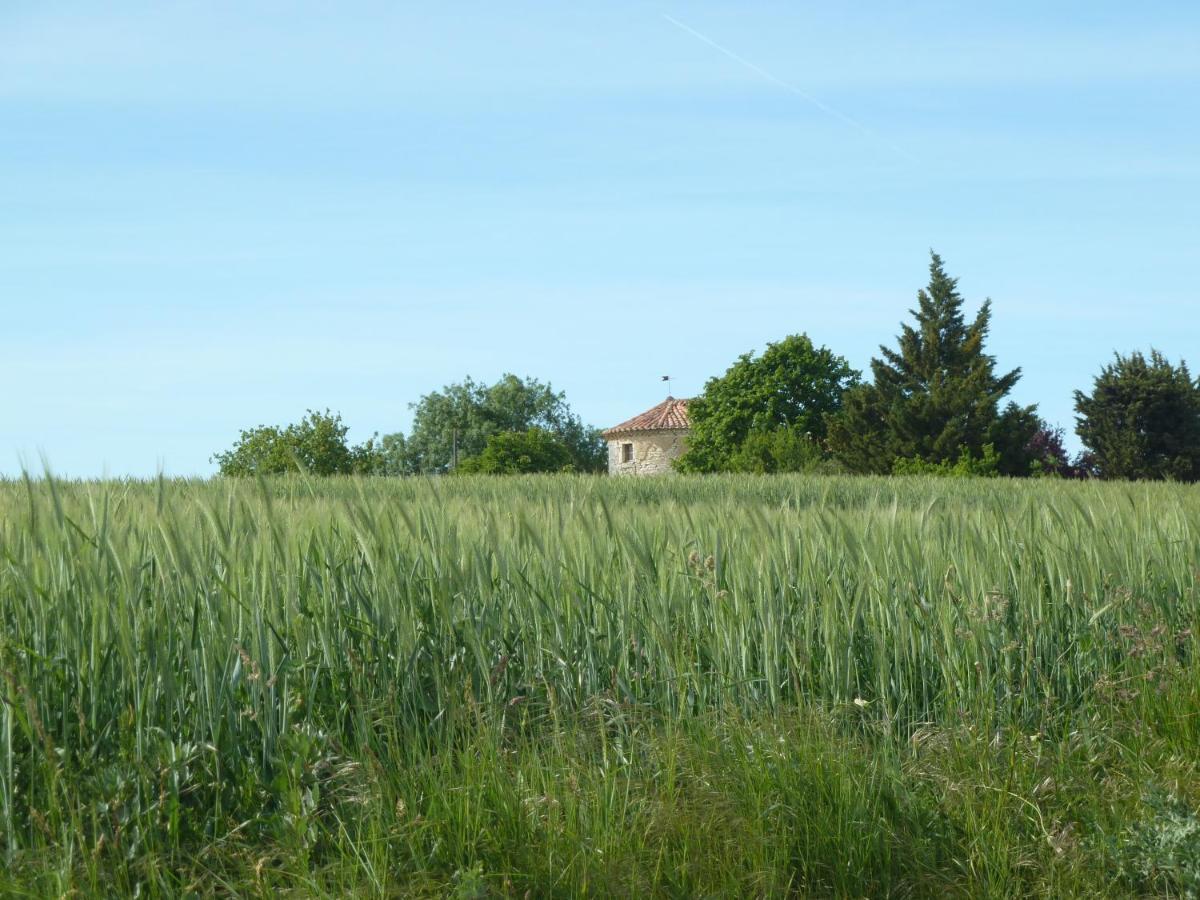 Chateau De Puissentut Bed & Breakfast Homps  Eksteriør bilde